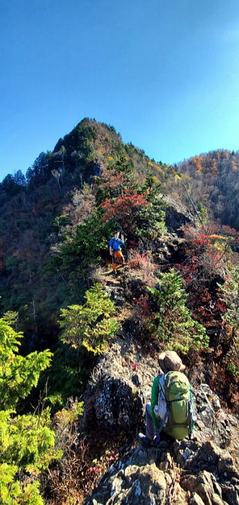 2021.11.3　両神山（尾根歩き）