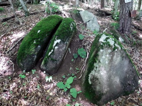 2023.7.2 源次郎岳(尾根歩き)