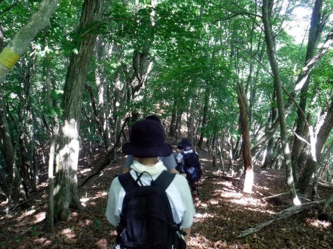 2023.7.2 源次郎岳(尾根歩き)