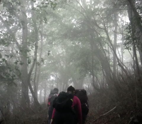 2023.7.8 黒川鶏冠山(尾根歩き)