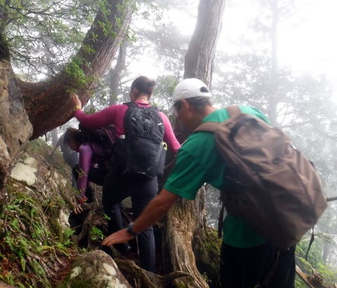 2023.7.8 黒川鶏冠山(尾根歩き)