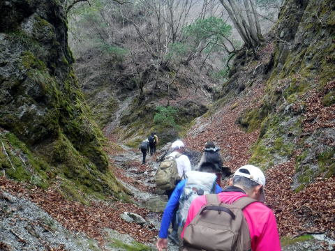 2023.3.19　丹沢 雨山（尾根歩き）
