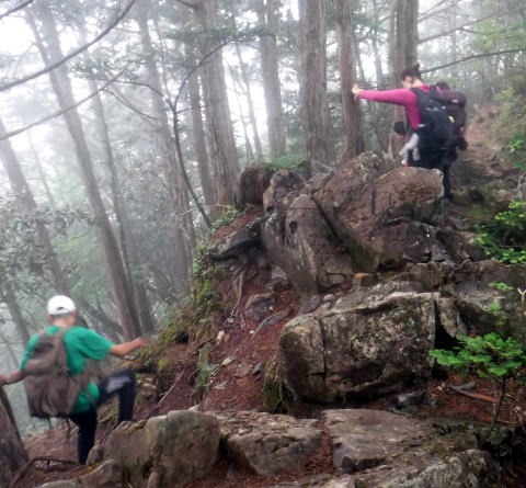 2023.7.8 黒川鶏冠山(尾根歩き)