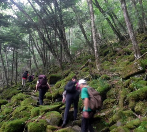 2023.7.8 黒川鶏冠山(尾根歩き)