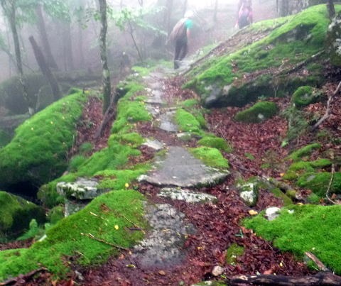 2023.7.8 黒川鶏冠山(尾根歩き)