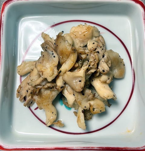 2023.7.8 黒川鶏冠山(尾根歩き)
