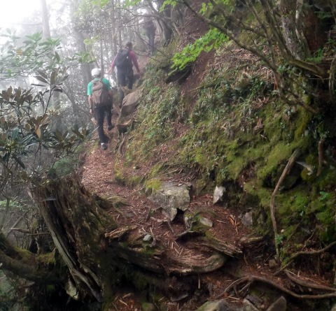 2023.7.8 黒川鶏冠山(尾根歩き)