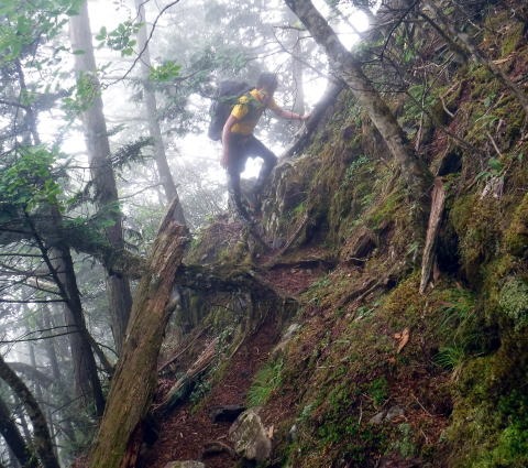 2023.7.8 黒川鶏冠山(尾根歩き)