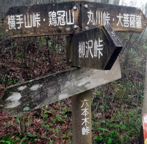 2023.7.8 黒川鶏冠山(尾根歩き)