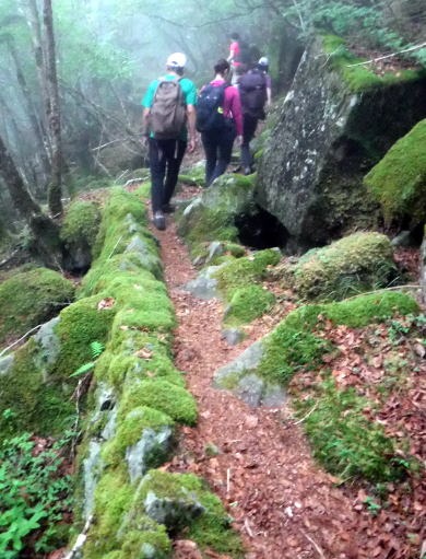 2023.7.8 黒川鶏冠山(尾根歩き)