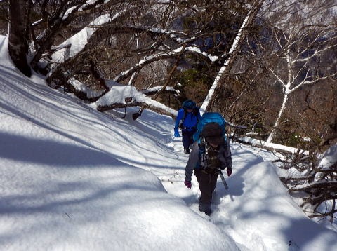 2019.4.11　鷹ノ巣山（尾根歩き）
