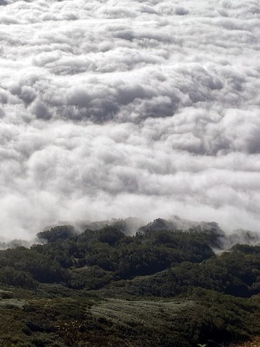 2023.9.16-18　白馬岳（尾根歩き）