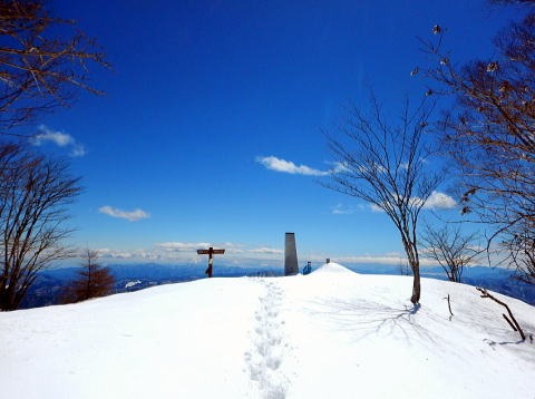 2019.4.11　鷹ノ巣山（尾根歩き）