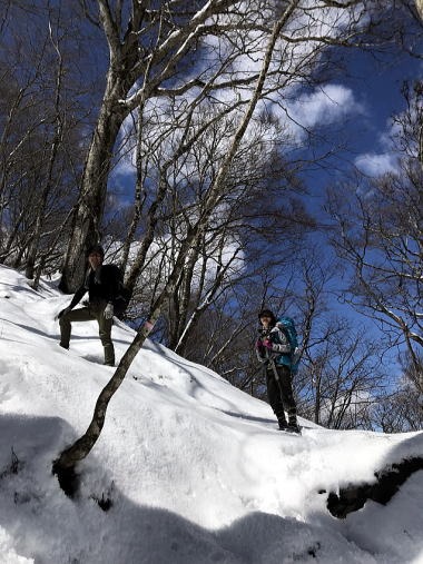 2019.4.11　鷹ノ巣山（尾根歩き）