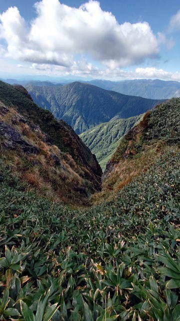 2023.9.23-24　万太郎山（尾根歩き）