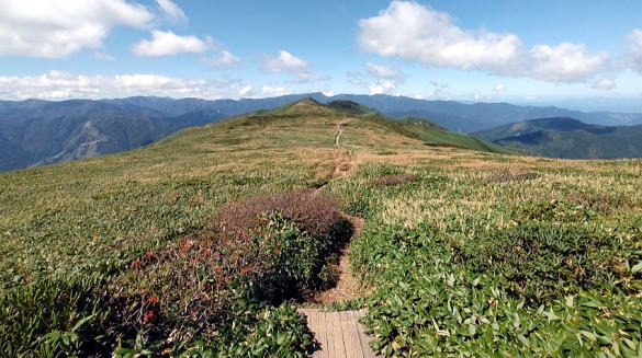 2023.9.23-24　万太郎山（尾根歩き）