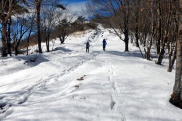 2019.4.11　鷹ノ巣山（尾根歩き）