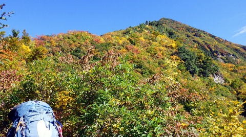 2023.10-14-15　越後駒ケ岳（尾根歩き）