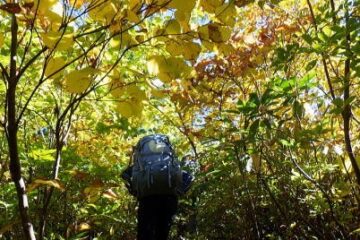 2023.10-14-15　越後駒ケ岳（尾根歩き）