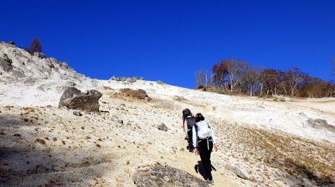 2023.11.3 日向山(尾根歩き)