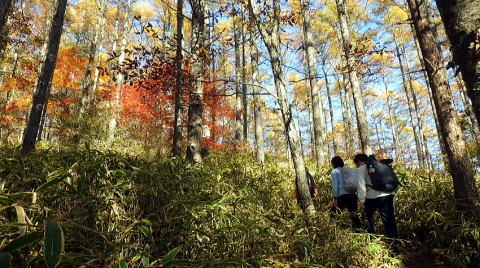 2023.11.3 日向山(尾根歩き)