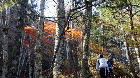2023.11.3 日向山(尾根歩き)