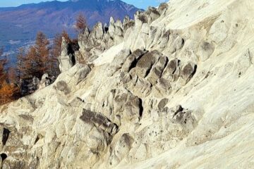 2023.11.3　日向山（尾根歩き）