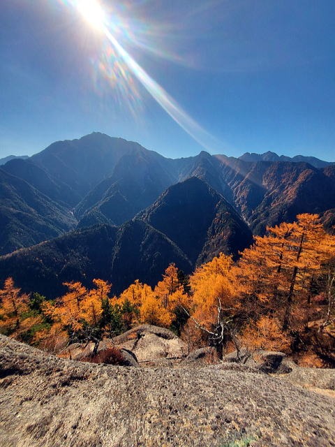 2023.11.3 日向山(尾根歩き)
