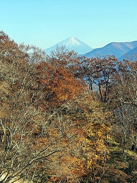 2023.11.3 日向山(尾根歩き)