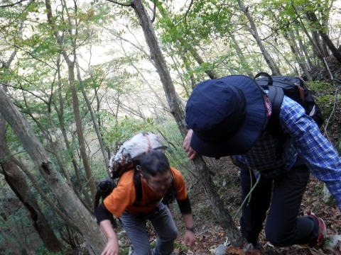 2023.11.18 丹沢 権現山(尾根歩き)