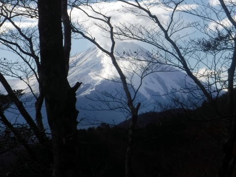 2023.11.18 丹沢 権現山(尾根歩き)