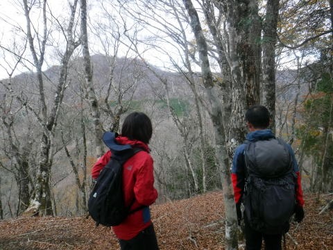2023.11.18 丹沢 権現山(尾根歩き)