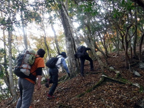 2023.11.18 丹沢 権現山(尾根歩き)