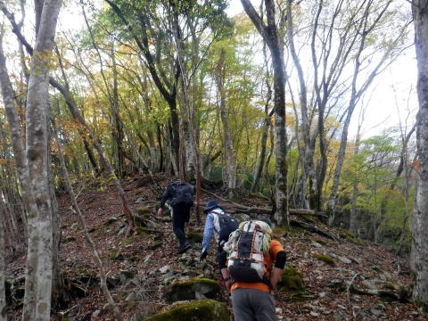 2023.11.18 丹沢 権現山(尾根歩き)