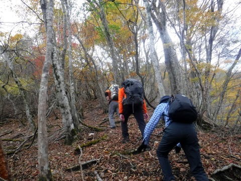 2023.11.18 丹沢 権現山(尾根歩き)