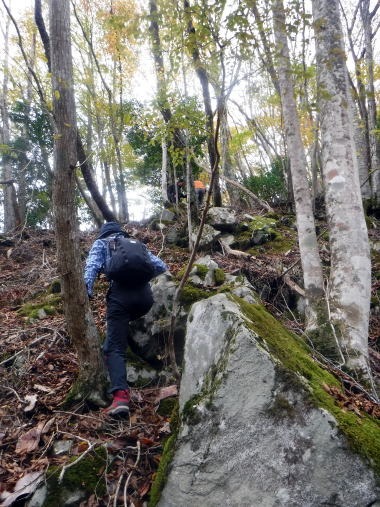 2023.11.18 丹沢 権現山(尾根歩き)