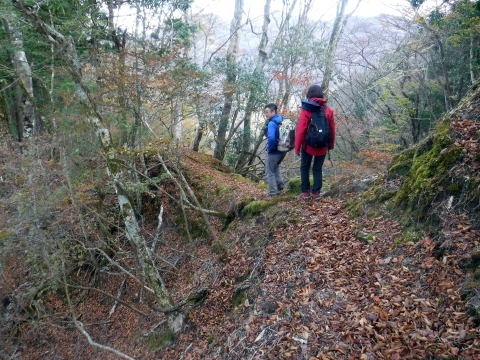 2023.11.18 丹沢 権現山(尾根歩き)