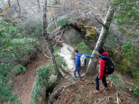 2023.11.18 丹沢 権現山(尾根歩き)