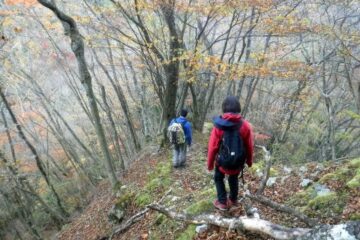 2023.11.18　丹沢 権現山（尾根歩き）