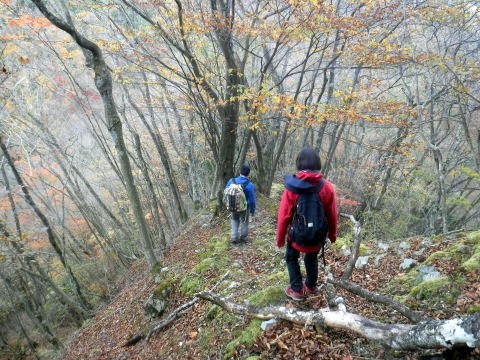 2023.11.18 丹沢 権現山(尾根歩き)