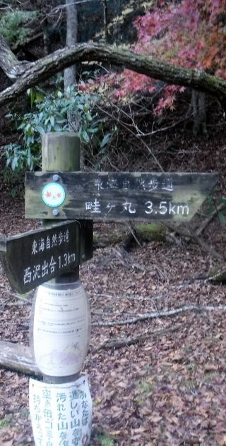 2023.11.18 丹沢 権現山(尾根歩き)