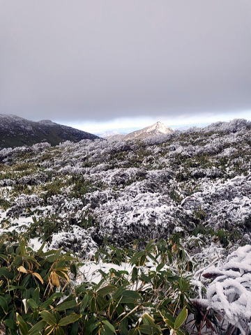 2023.11.26　三本槍岳（尾根歩き）