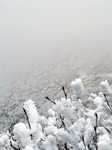 2023.11.26　三本槍岳（尾根歩き）