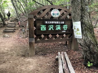 2021.6.12 鶏冠谷右俣(沢登り)