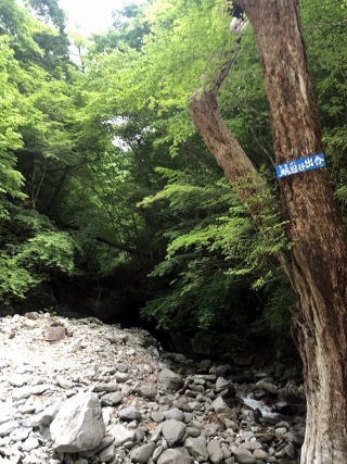 2021.6.12 鶏冠谷右俣(沢登り)