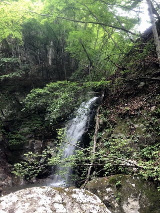 2021.6.12 鶏冠谷右俣(沢登り)