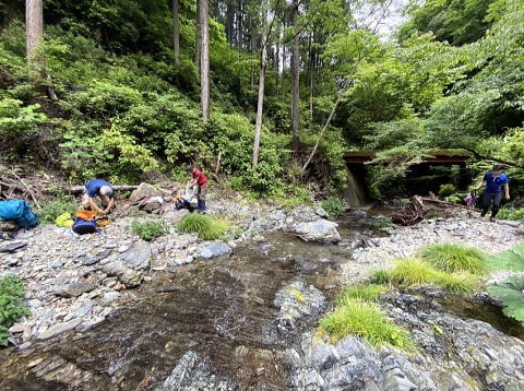 2021.6.20 小坂志川本流(沢登り)