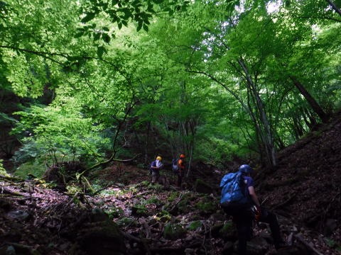 2021.6.20 小坂志川本流(沢登り)