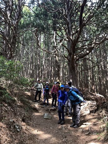 2019.4.14　高水山（尾根歩き）