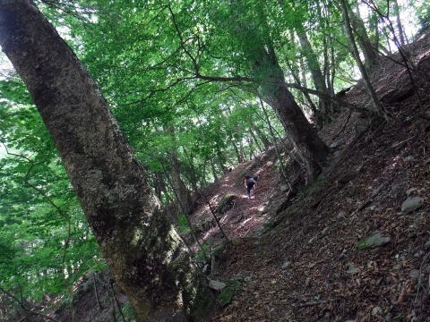 2021.7.24-25　真ノ沢（沢登り）
